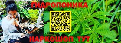 индика Тулун