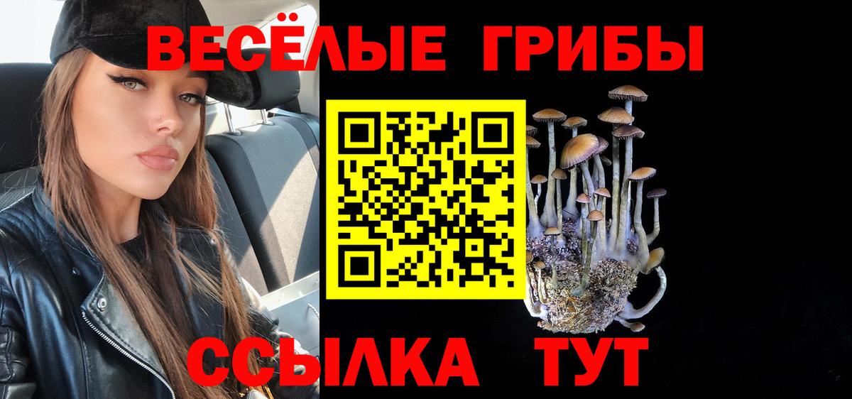 Анапа  Галлюциногенные грибы Cubensis  Псилоцибиновые грибы MAGIC MUSHROOMS  Вход с VPN 